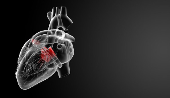 Beating Heart Aortic Valve Repair by OrangeCountySurgeons